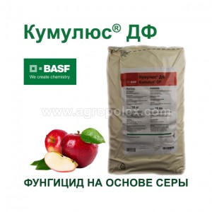 Кумулюс