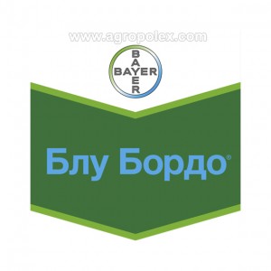 Блу бордо