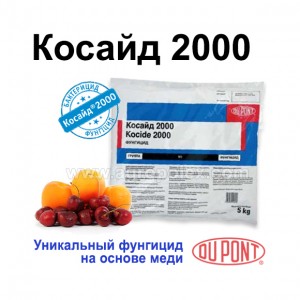 Косайд Дюпон