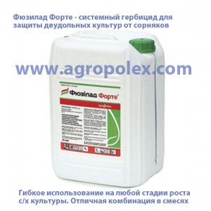 Фюзилад Форте