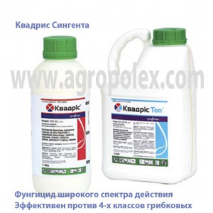 Квадрис