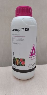 Цезарь, 1л