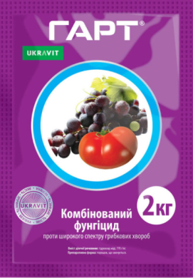 Гарт, ЗП ( Чемпион)