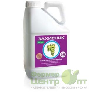 Самшит