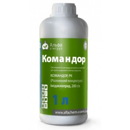 Командор (КОНФИДОP)