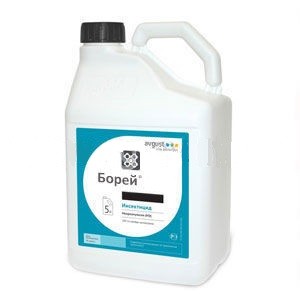 Борей 5 л