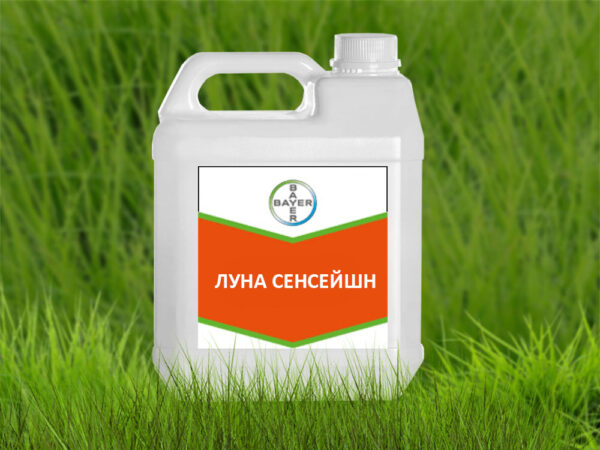Луна Сенсейшн