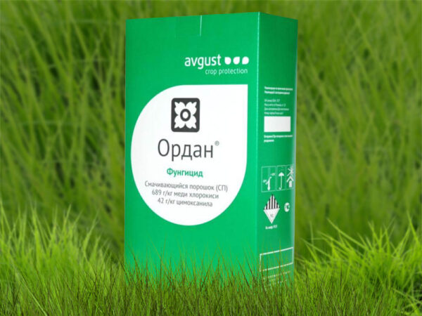 Ордан