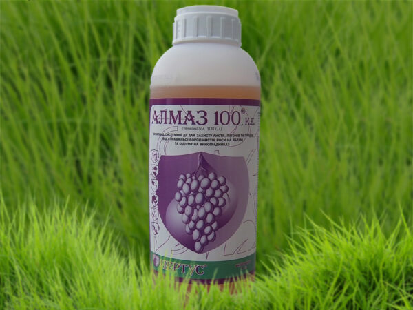 Алмаз 100