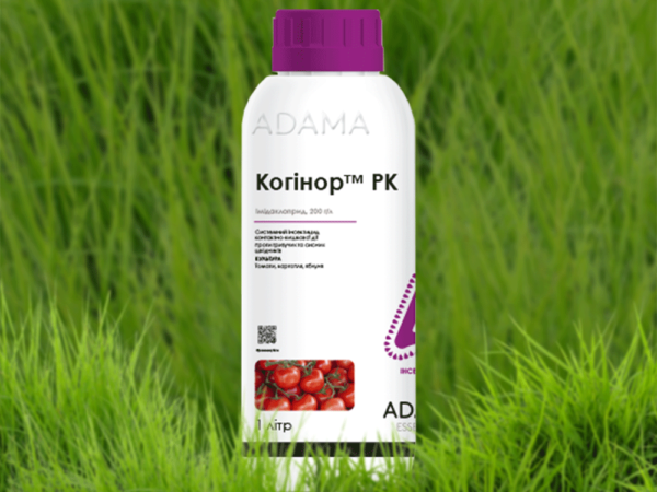 Когинор
