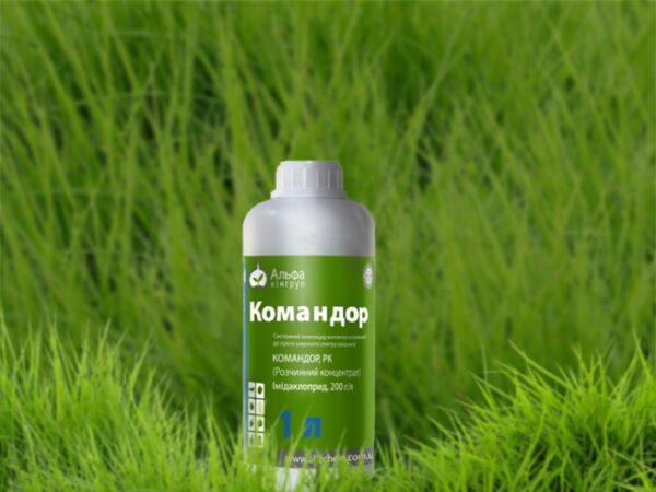 Командор
