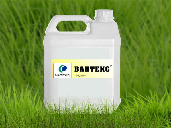Вантекс