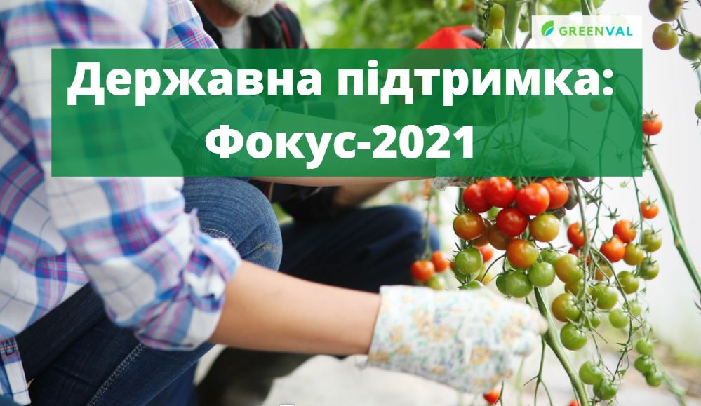 Державна підтримка: Фокус-2021