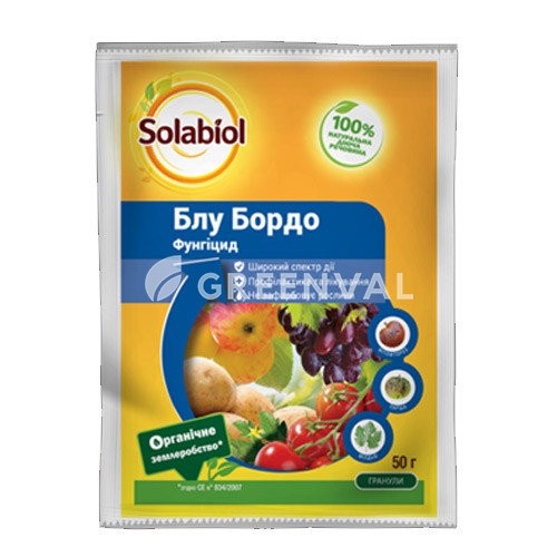Блу Бордо вг, блу бордо, ,ke ,jhlj
