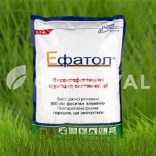 Ефатол зп, tafnjk, ефатол